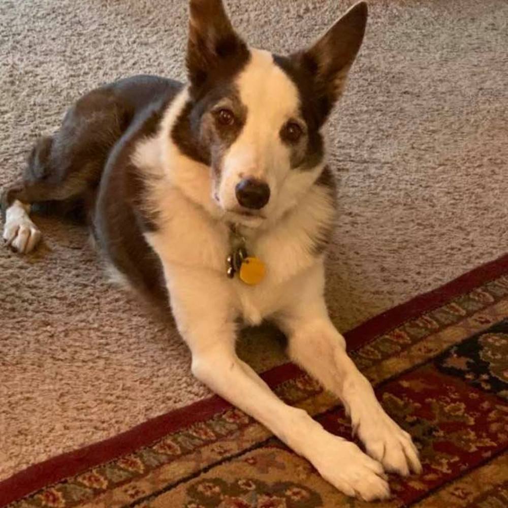 Meet your Posher, Terry